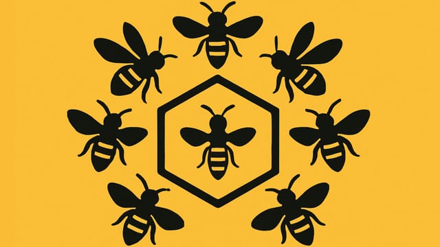 Artwork for Evolution and Cooperation